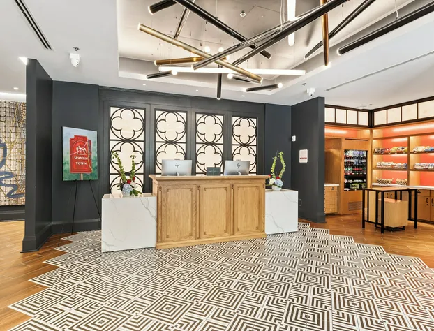 Hotel Indigo Baton Rouge Downtown by IHG hotel detail image 3