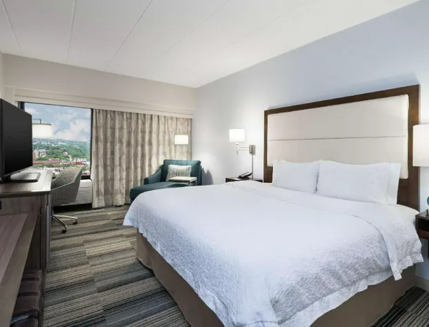 Hampton Inn Pittsburgh University/Medical Center hotel detail image 1