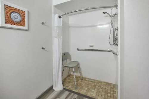 Hampton Inn Pittsburgh University/Medical Center hotel detail image 4