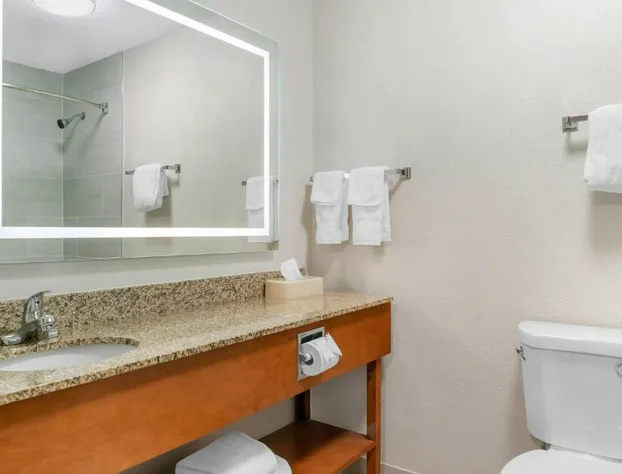 Comfort Suites Auburn Hills-Detroit hotel detail image 4
