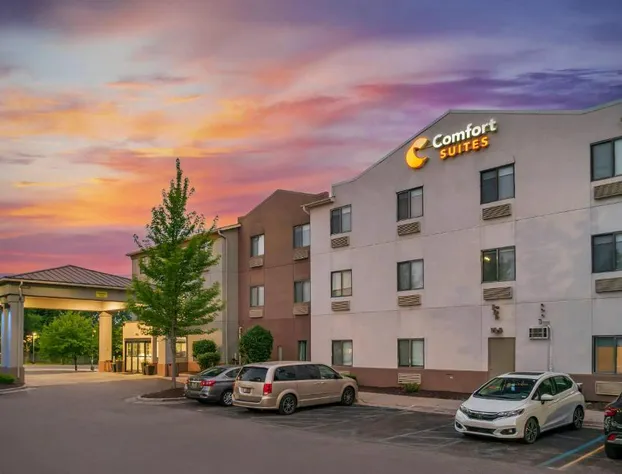 Comfort Suites Auburn Hills-Detroit hotel detail image 2