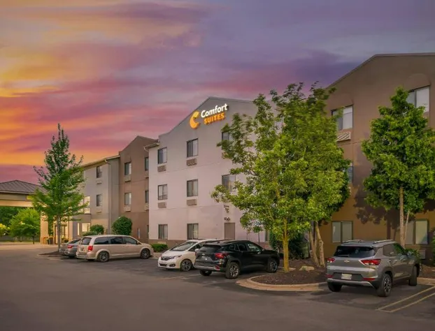 Comfort Suites Auburn Hills-Detroit hotel detail image 3