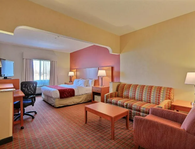 Comfort Suites Auburn Hills-Detroit hotel detail image 3