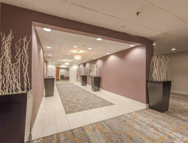 Holiday Inn Austin Midtown by IHG hotel detail image 4