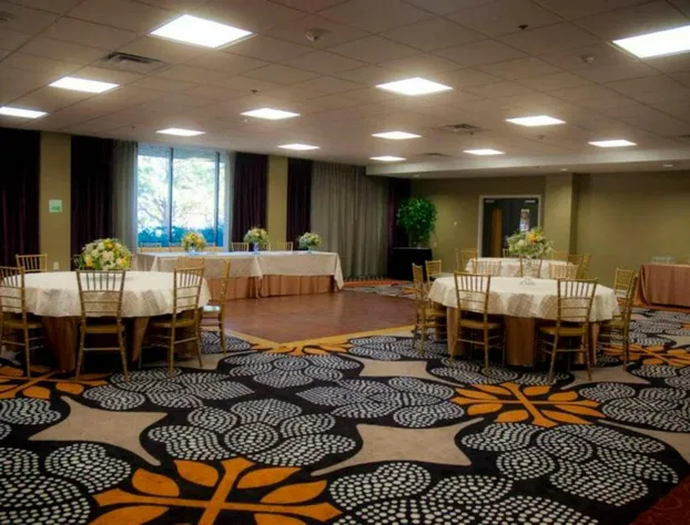 Holiday Inn Austin Midtown by IHG hotel detail image 3