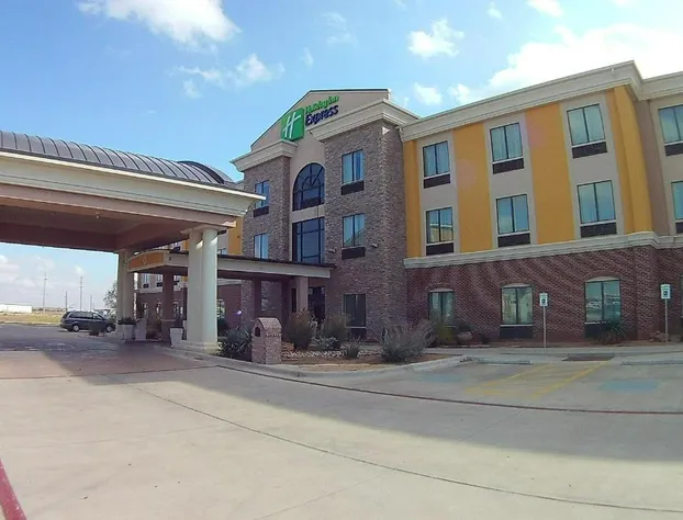 Holiday Inn Express Hotel Suites Lubbock Southwest-Wolfforth by IHG hotel detail image 2
