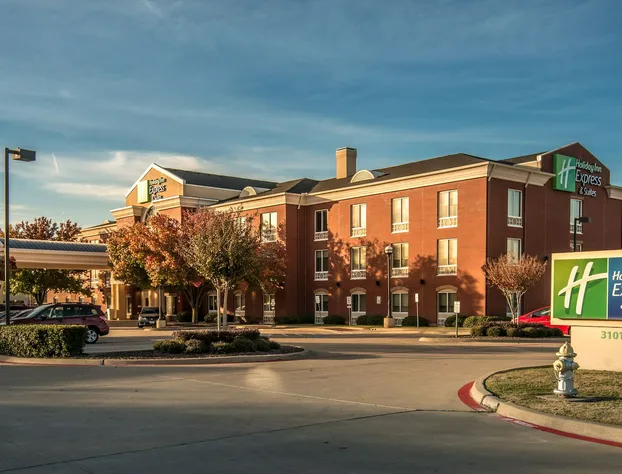 Holiday Inn Express & Suites Plano West - Frisco by IHG hotel detail image 2