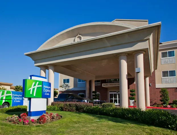 Holiday Inn Express & Suites Sacramento NE Cal Expo by IHG hotel detail image 2