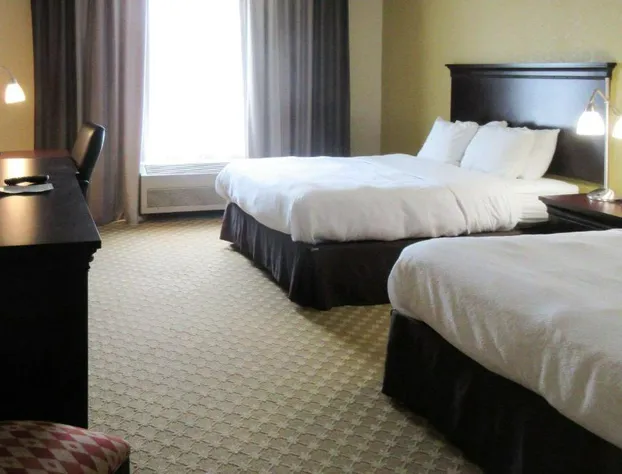 Quality Inn & Suites Alexandria hotel detail image 1