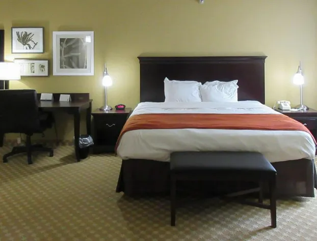 Quality Inn & Suites Alexandria hotel detail image 2