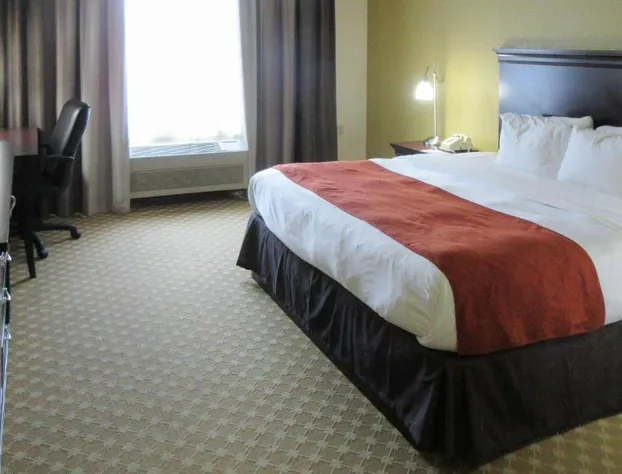 Quality Inn & Suites Alexandria hotel detail image 3