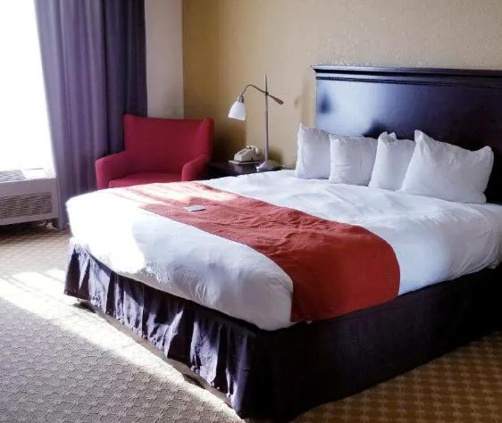 Quality Inn & Suites Alexandria hotel detail image 4