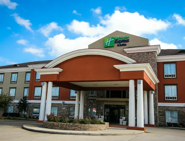 Holiday Inn Express Hotel and Suites Nacogdoches by IHG hotel detail image 1