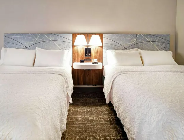 Hampton Inn Atlanta-Mall Of Georgia hotel detail image 3