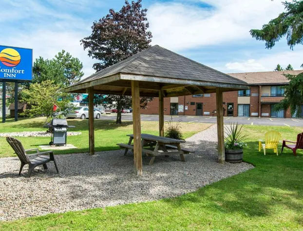 Comfort Inn hotel detail image 3