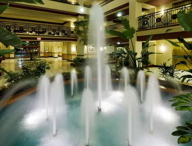 Embassy Suites by Hilton Lexington/UK Coldstream hotel detail image 2