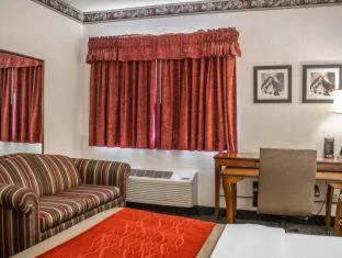 Comfort Inn & Suites Streetsboro - Kent hotel detail image 2