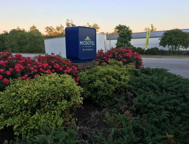 Microtel Inn & Suites by Wyndham Richmond Airport hotel detail image 3