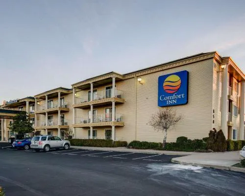 Comfort Inn Redding Near I-5 hotel hero