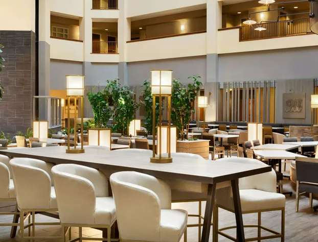 Embassy Suites by Hilton Dallas DFW Airport North hotel detail image 4