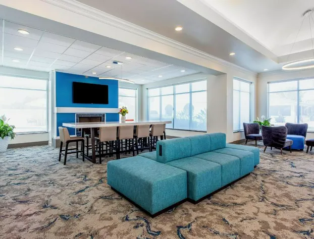 Hilton Garden Inn Tampa Northwest/Oldsmar hotel detail image 3