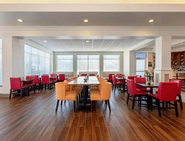 Hilton Garden Inn Tampa Northwest/Oldsmar hotel detail image 2