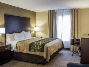 Comfort Inn Clinton hotel detail image 3