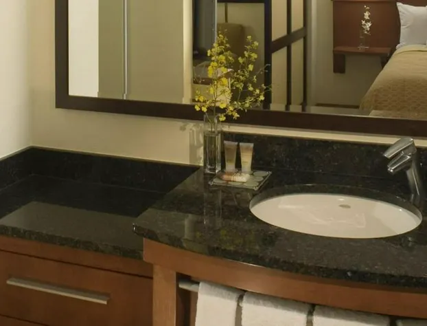 Hyatt Select Richmond/Chester hotel detail image 4