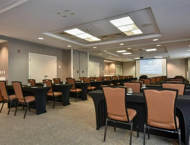 SpringHill Suites by Marriott Columbia Downtown/The Vista hotel detail image 3