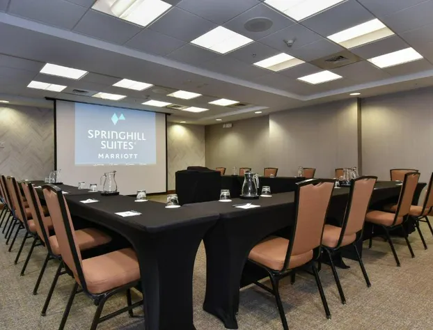 SpringHill Suites by Marriott Columbia Downtown/The Vista hotel detail image 4