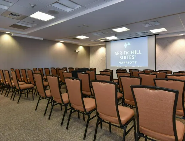 SpringHill Suites by Marriott Columbia Downtown/The Vista hotel detail image 4