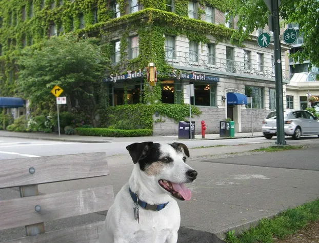 Sylvia Hotel hotel detail image 3