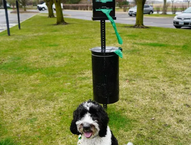 Hampton Inn & Suites Chicago/Aurora hotel detail image 3