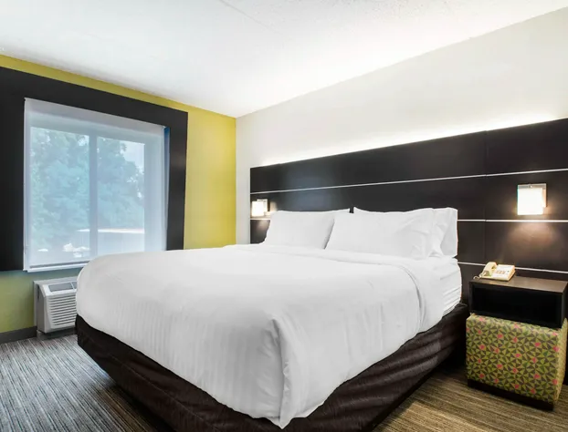 Holiday Inn Express and Suites Albany Airport- Wolf Road by IHG hotel detail image 4