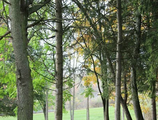 Atlas Motor Lodge hotel detail image 3