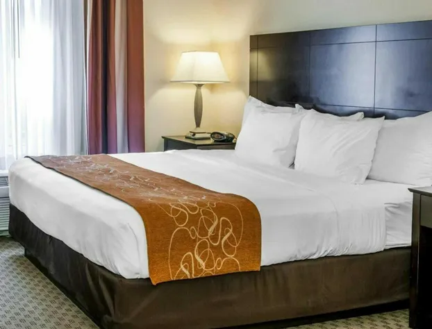 Comfort Suites French Lick hotel detail image 4