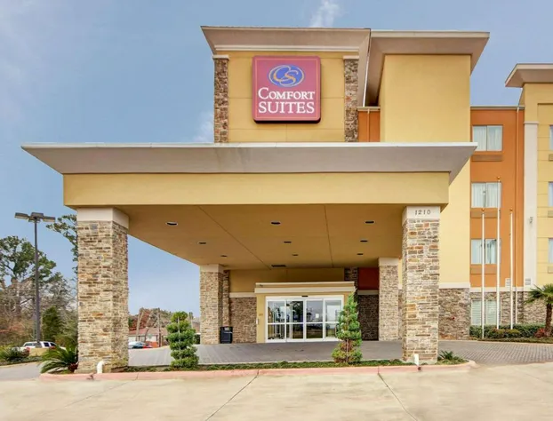 Comfort Suites Kilgore hotel detail image 2