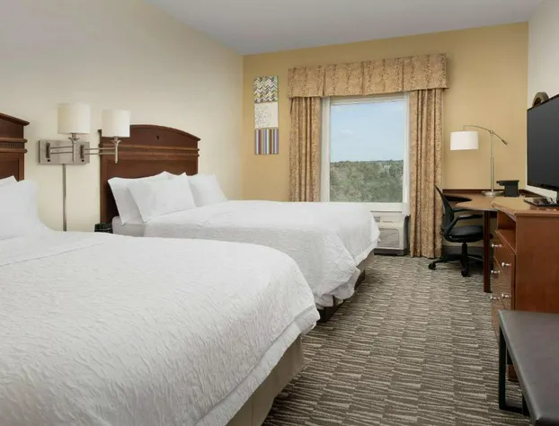 Hampton Inn & Suites Lakeland-South Polk Parkway hotel detail image 3