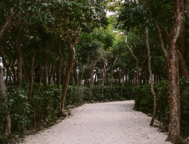 Baker's Cay Resort Key Largo, Curio Collection by Hilton hotel detail image 3