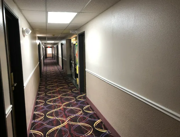 Super 8 by Wyndham Natchitoches hotel detail image 3