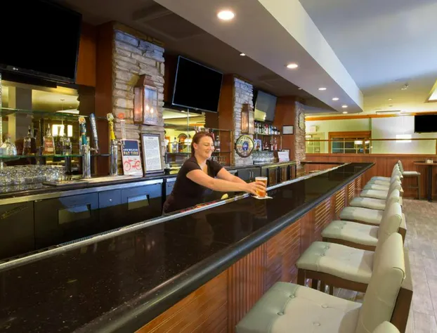 Holiday Inn Colorado Springs Airport by IHG hotel detail image 4