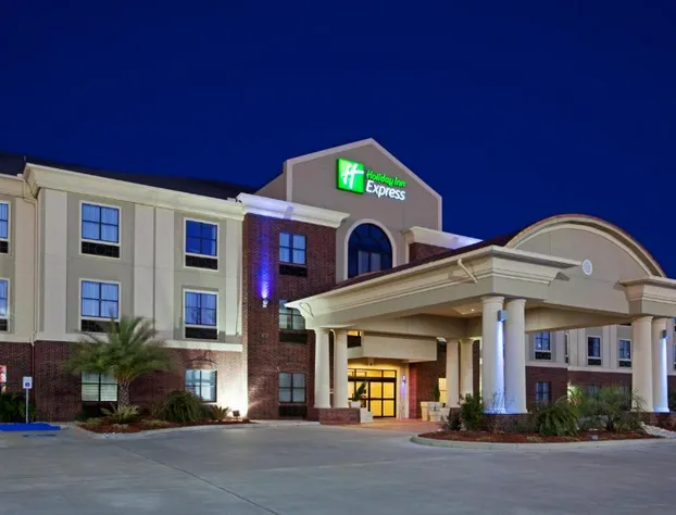 Holiday Inn Express Hotel & Suites VIDOR SOUTH by IHG hotel detail image 1
