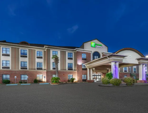 Holiday Inn Express Hotel & Suites VIDOR SOUTH by IHG hotel detail image 2