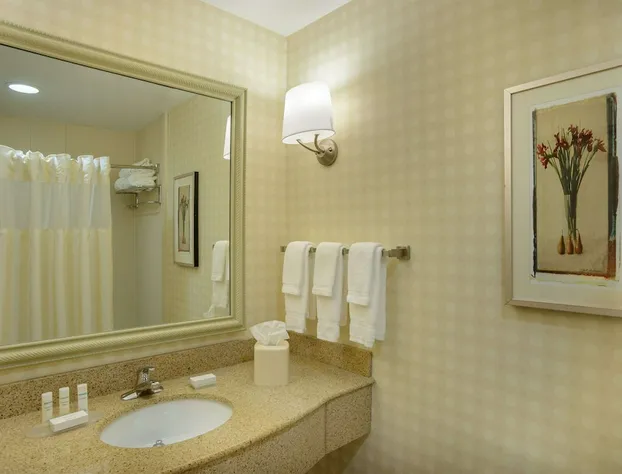 Hilton Garden Inn Joplin hotel detail image 3