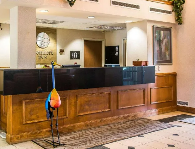 Comfort Inn Chelsea hotel detail image 2