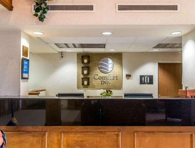 Comfort Inn Chelsea hotel detail image 3