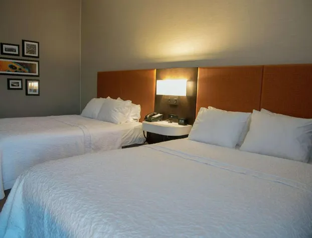 Hampton Inn Summersville hotel detail image 2