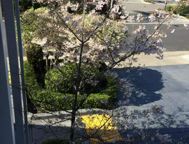 Oak Motel Palo Alto hotel detail image 4