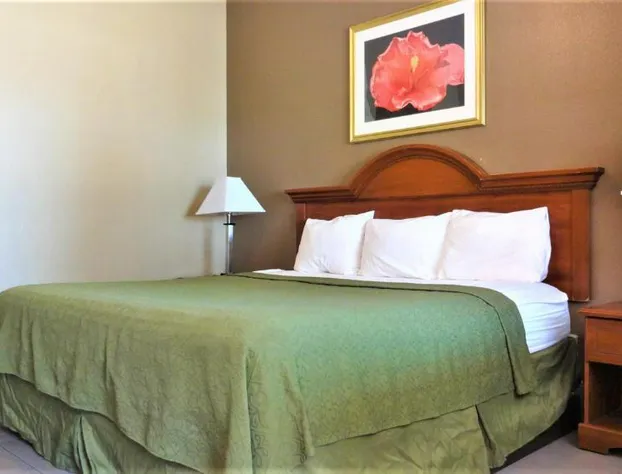 La Copa Inn McAllen hotel detail image 1