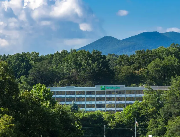 Holiday Inn Asheville East-Blue Ridge PKWY by IHG hotel detail image 2